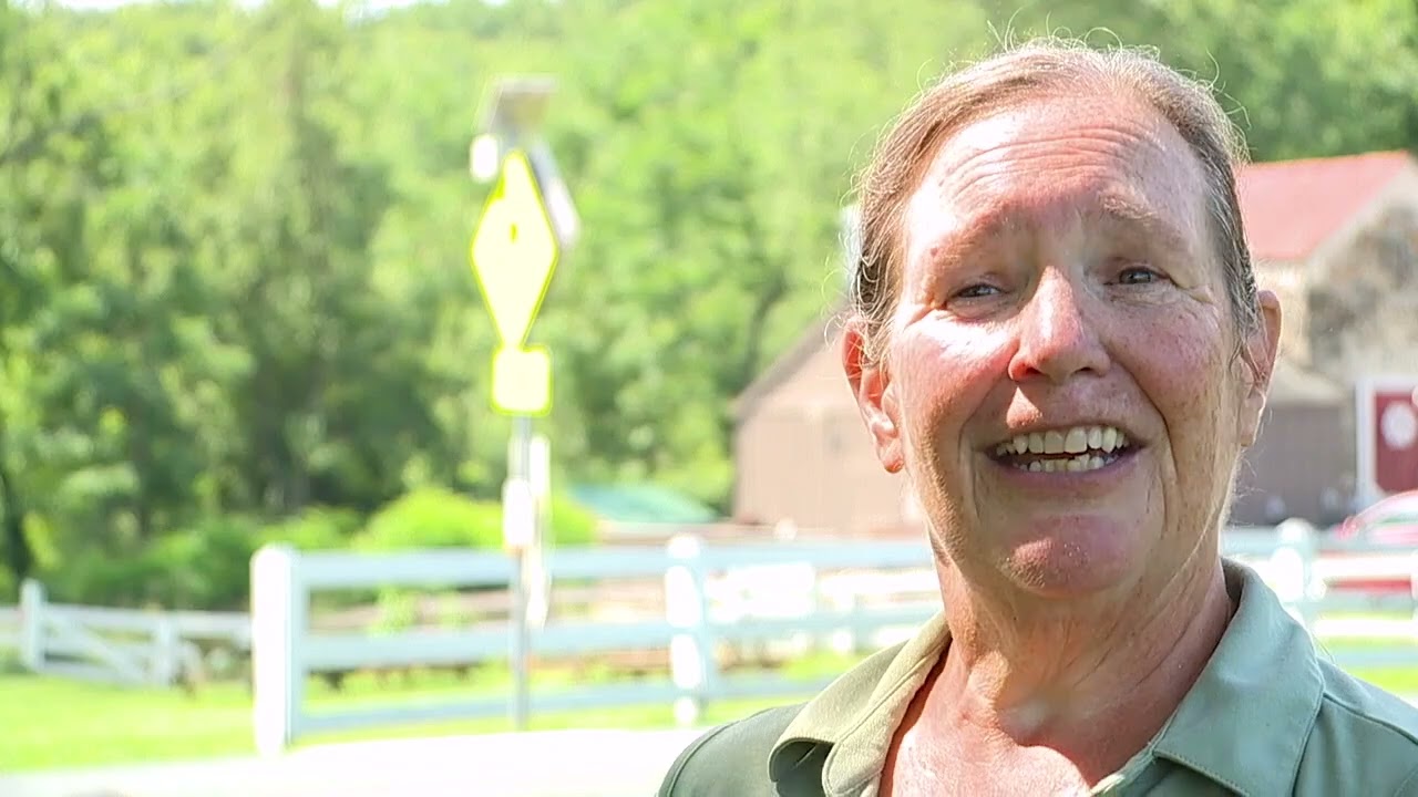 Rumble in the Forest