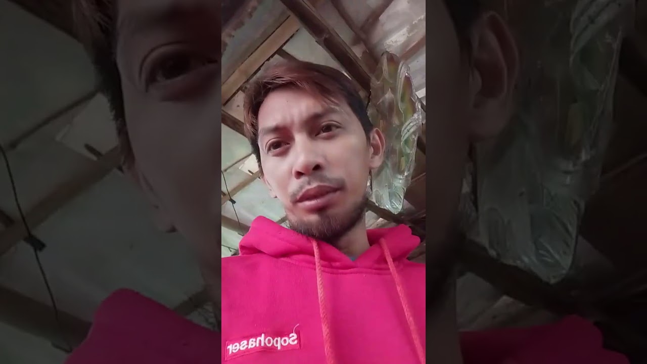 A second day in my daily vlog. #minivlog #leeyuuofficialvlog #followers 