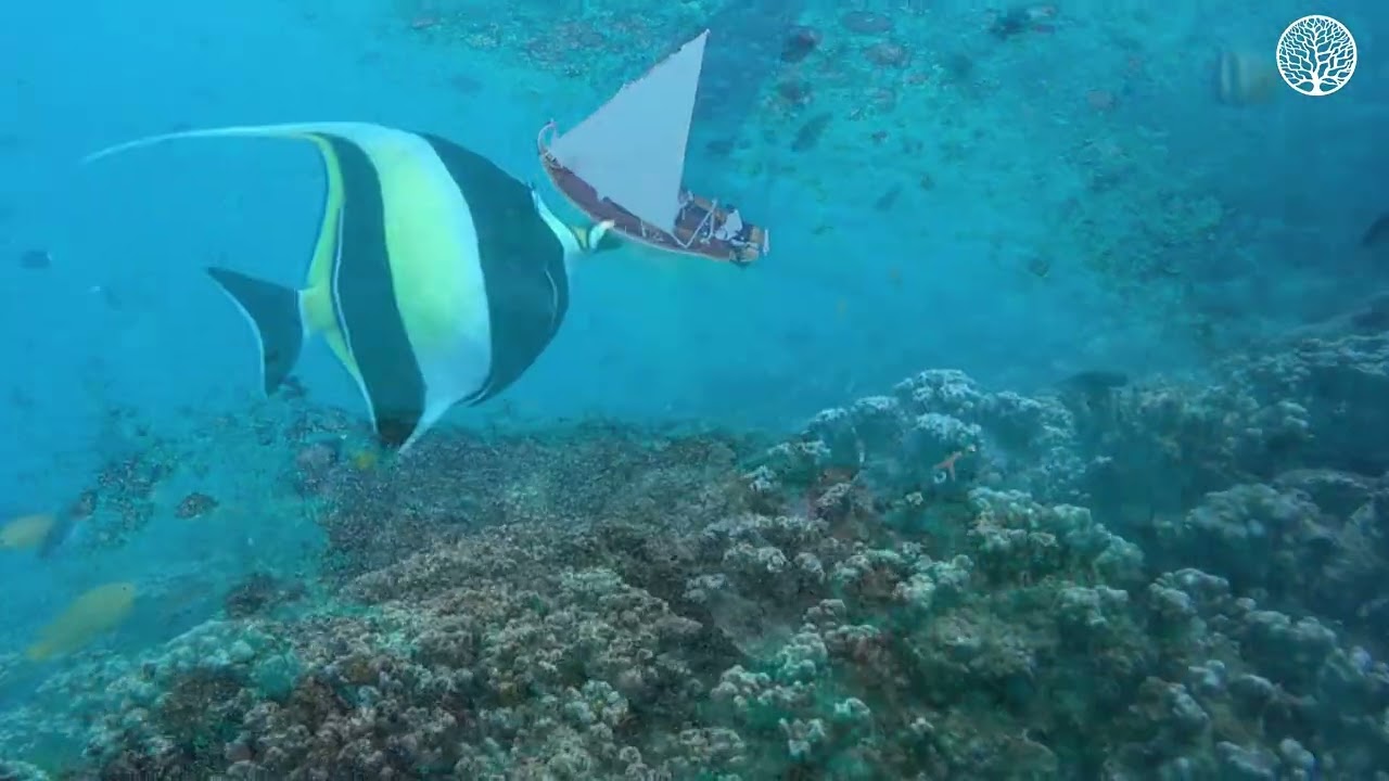 Soft Horizons — Dreamy Synthwave for Focus, Night Drive & Relax | Life Music Studio