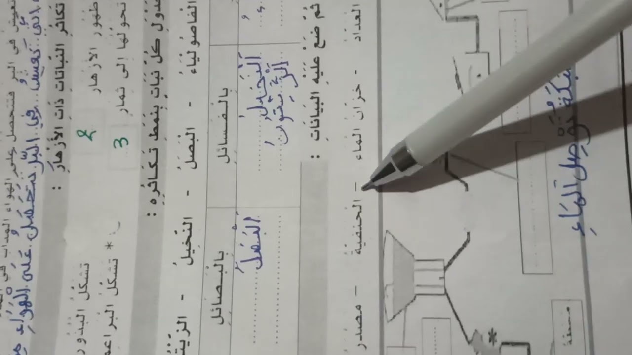 اختبار في التربية العلمية السنة الثالثة ابتداءي الفصل الثاني