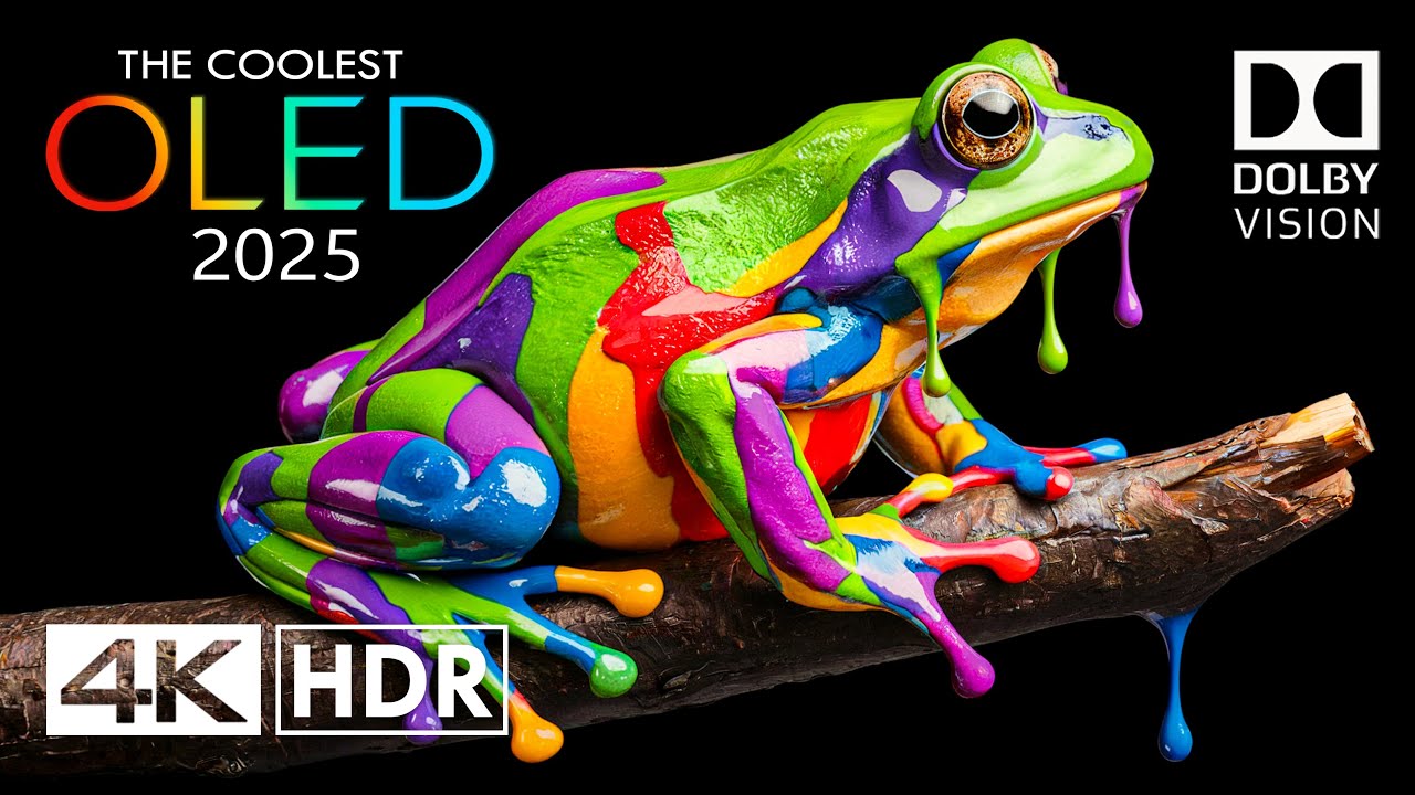 REAL 4K HDR 120 FPS Dolby Vision - 4K Video ULTRA HD