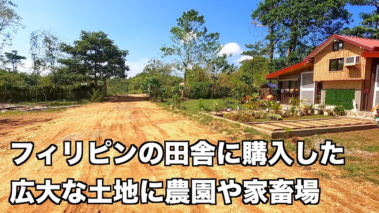 【知人が所有するファーム】北のボラカイと言われるフィリピンのリゾート地ボリナオに日本人が購入した土地があるということで、視察も兼ねて遊びに行ってきた！