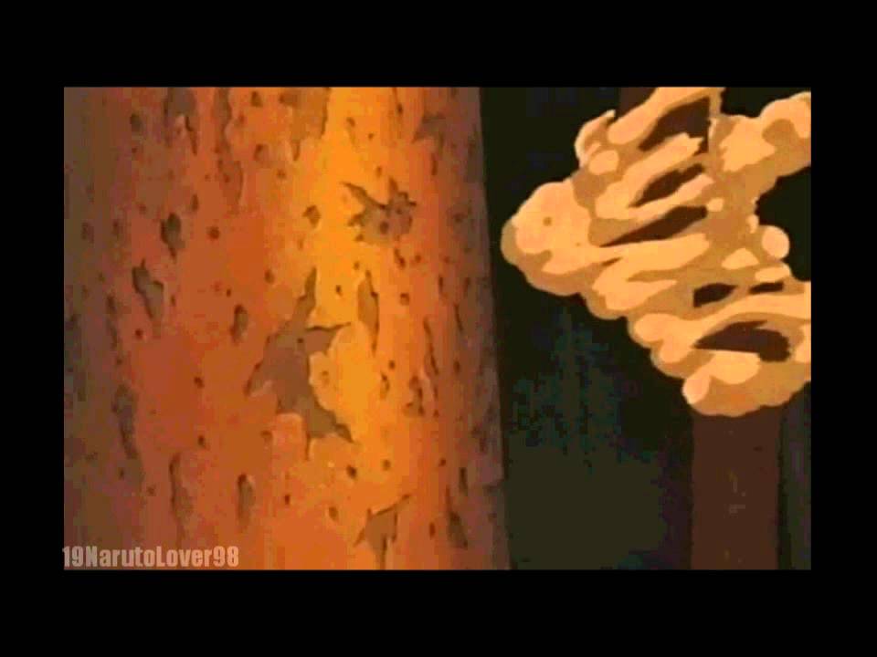NaruSaku - Until The Day I Die [HD]