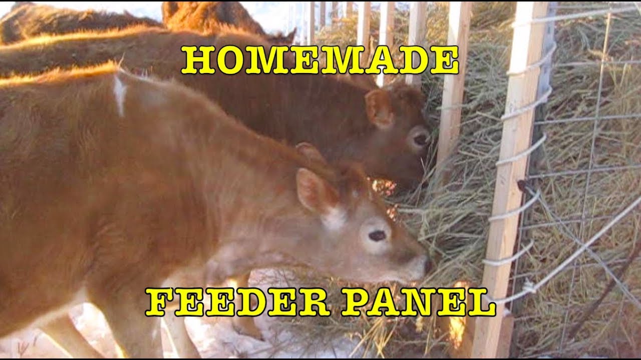 Homemade Feeder Panel for Cows