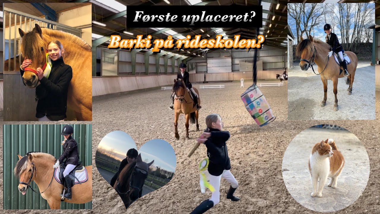 Stævnevlog #3 + ridning på Barki