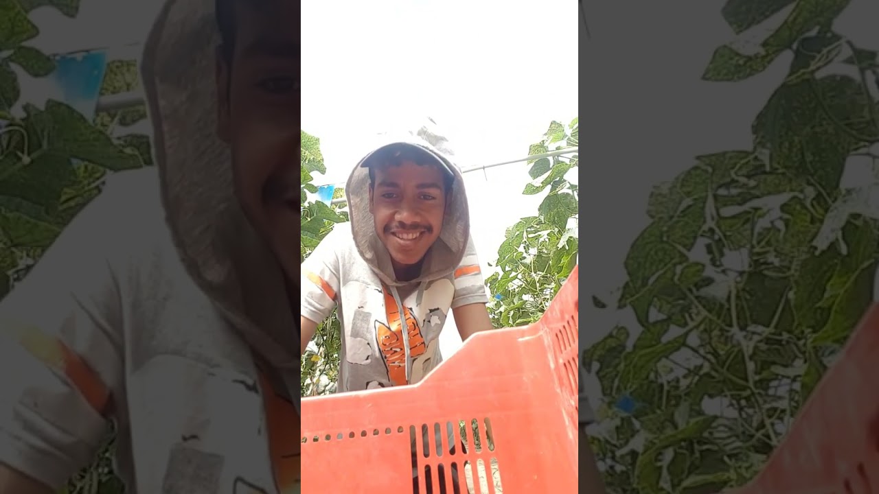 live en trabajo Almería