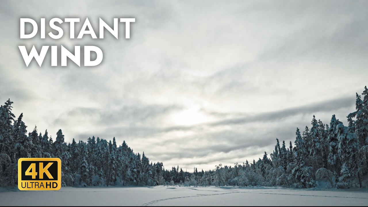 Distant Wind 4K | Snowy Landscape & Gentle Wind Sounds for Calm, Focus & Mindfulness - No Music