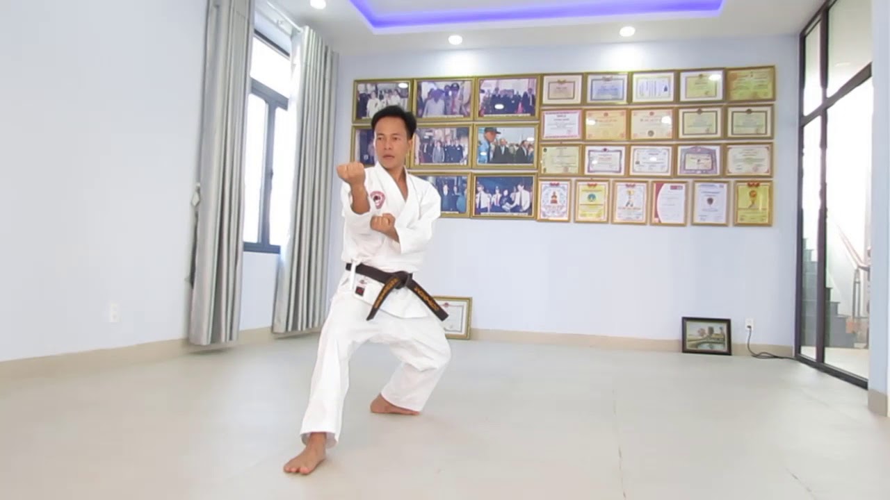 CHƯƠNG TRÌNH THI LÊN ĐAI NÂU KYU 3 QUYỀN VÀ KỸ THUẬT CƠ BẢN - shotokan karate do