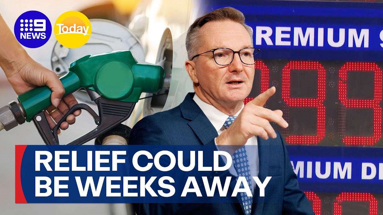 Fuel standards easing yet to be processed to help with supply | 9 News Australia