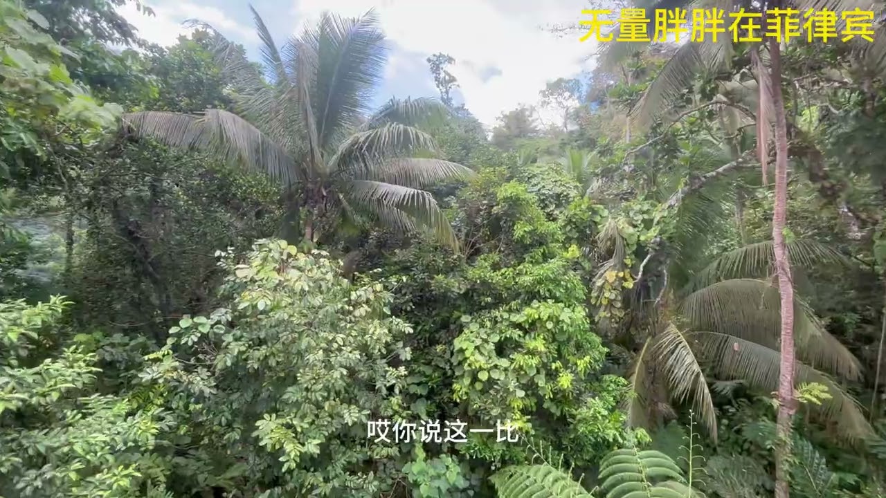 为啥这世界一打仗 菲律宾的油就血崩