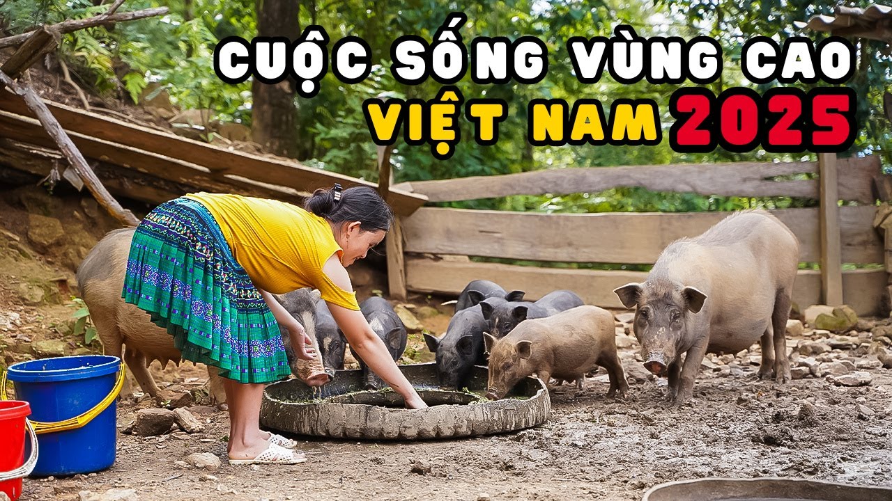 Bạn Sẽ KHÔNG TIN Đây Là Cuộc Sống Bản Vùng Cao  Ở Việt Nam 2025