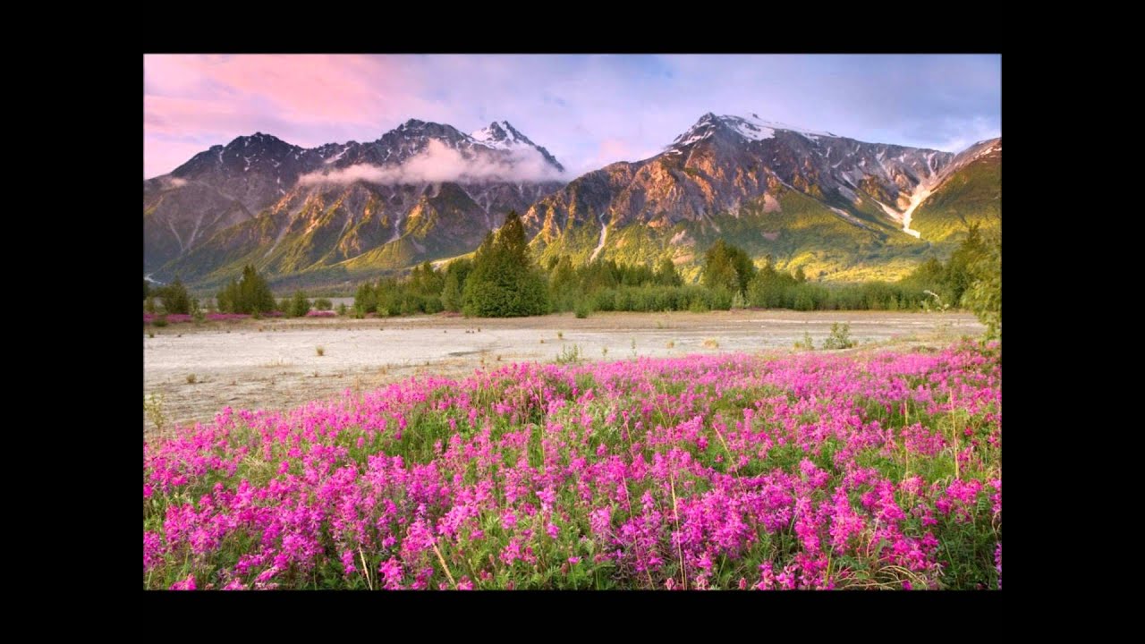Aaron Copland - Simple Gifts