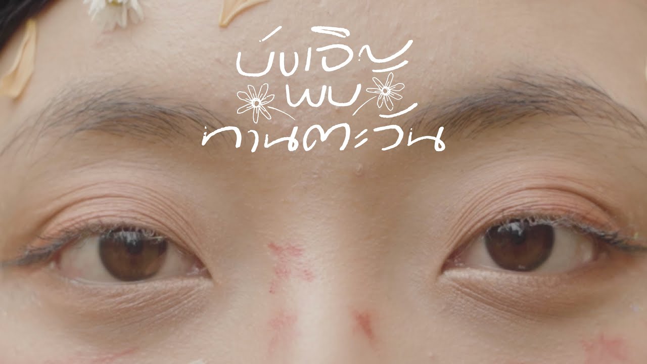 บังเอิญพบทานตะวัน(.png) - PURPEECH [Official MV]