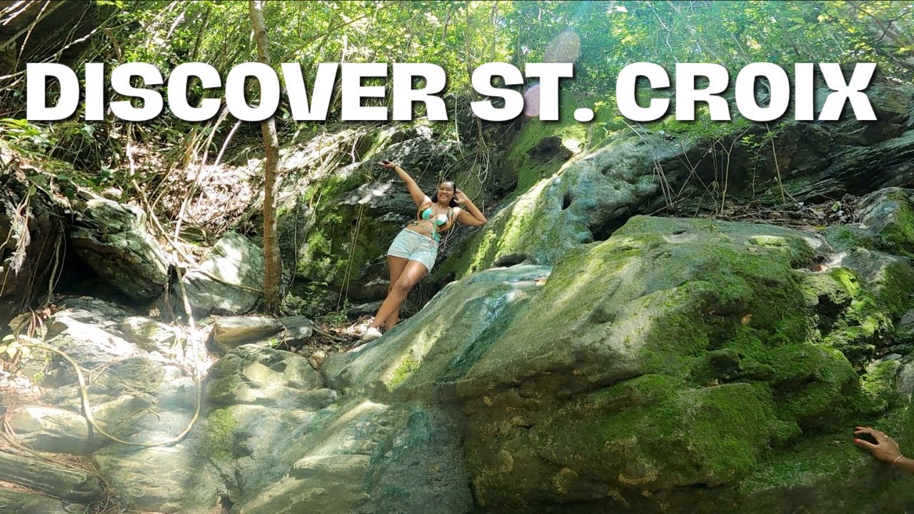 THE ST. CROIX RAINFOREST | DISCOVER ST. CROIX