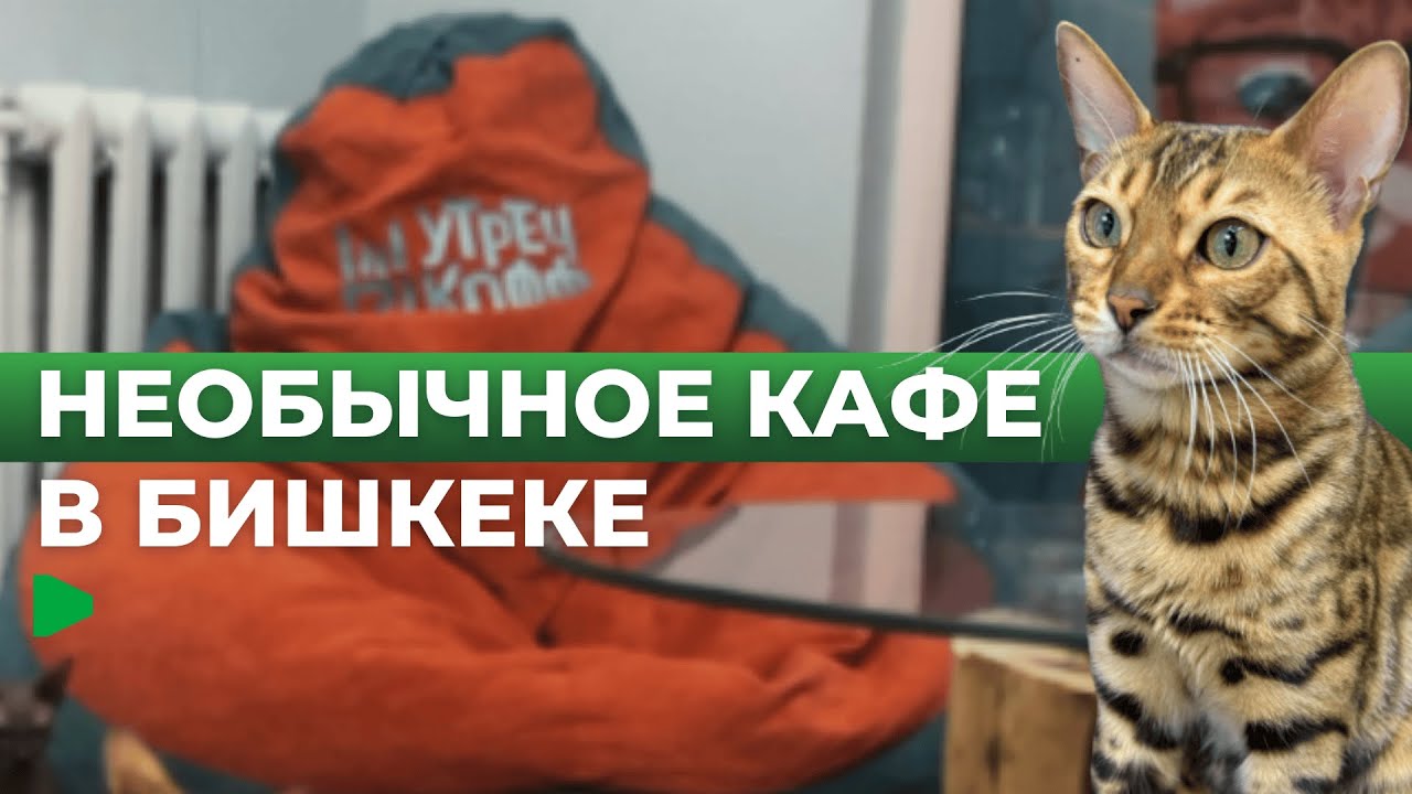 Необычная кофейня в Бишкеке покорила горожан!