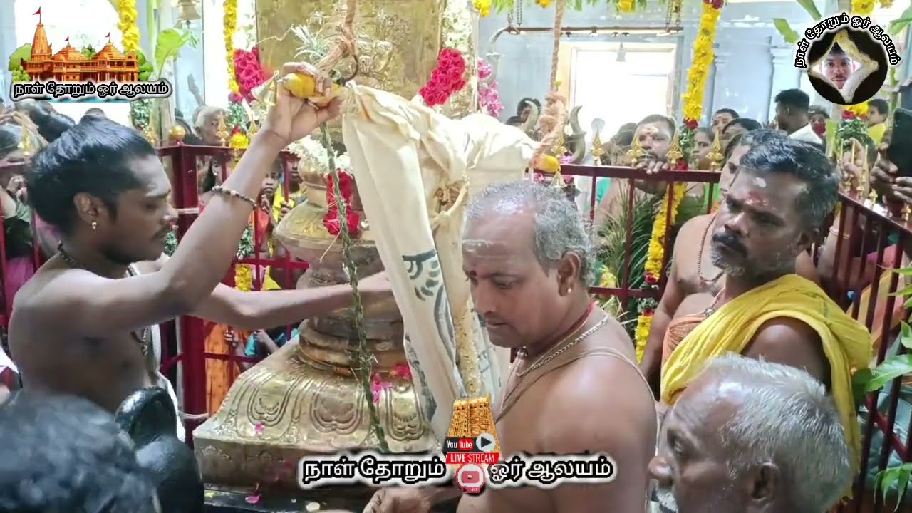 #வாசுதேவநல்லூர் #ஸ்ரீ #மாரியம்மன் #திருக்கோயில் #கொடியேற்றம் #நிகழ்ச்சி #நடைபெற்றது