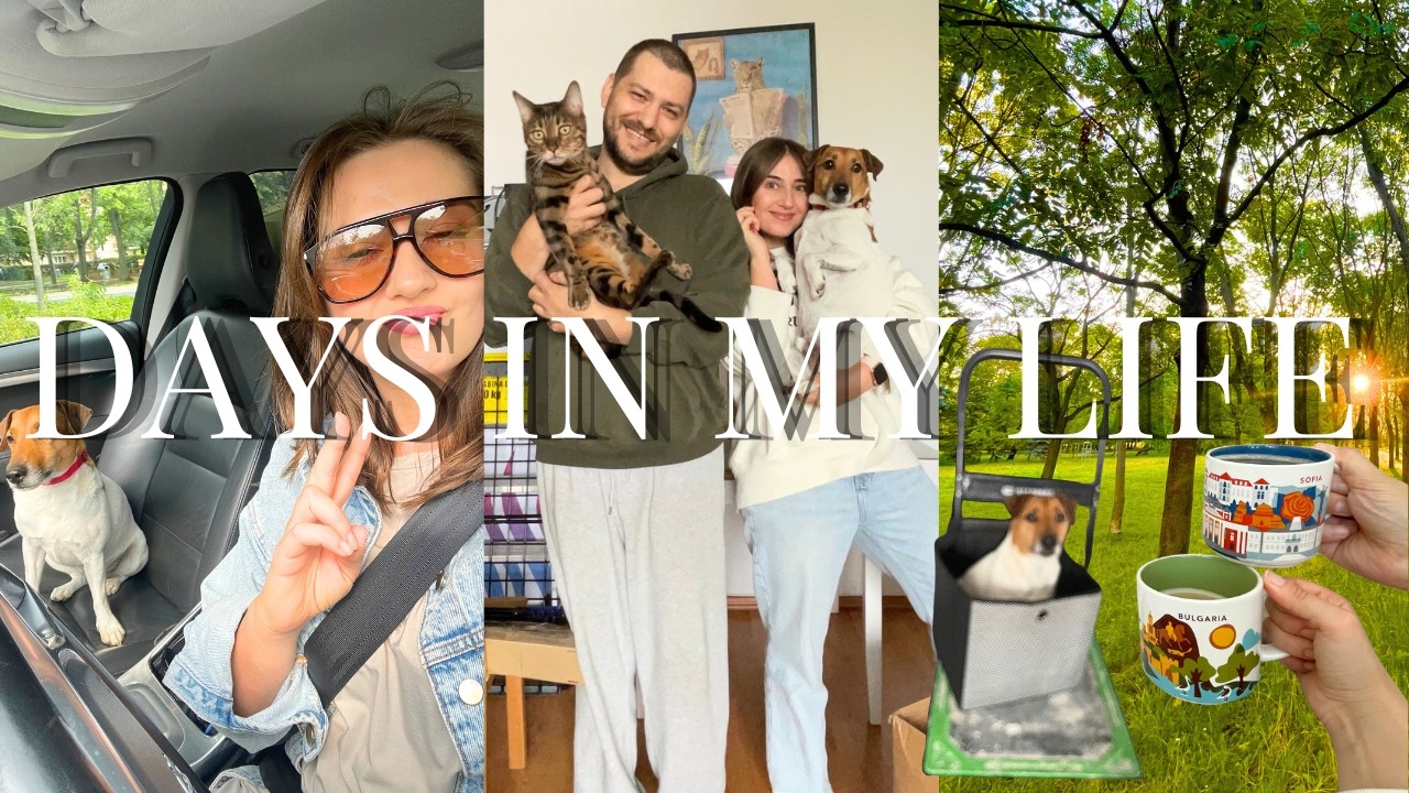 moving to a new apartment | packing, transporting and chaos | real life vlog
