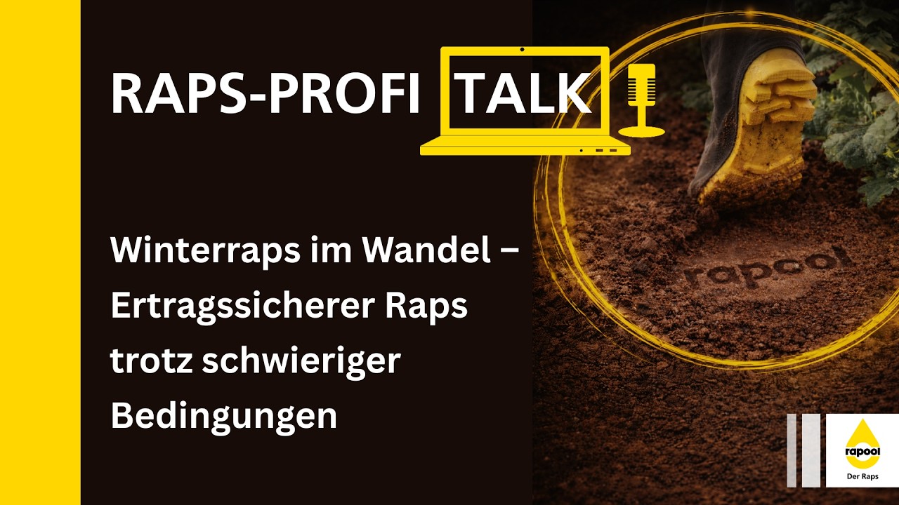 Raps-Profi-Talk 2026:  Winterraps im Wandel - Ertragssicherer Raps trotz schwieriger Bedingungen