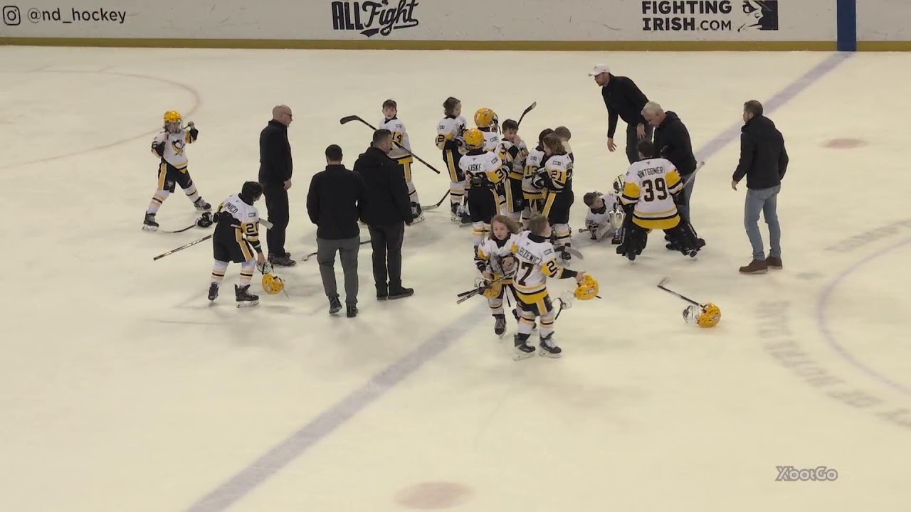 Championship Game - Pens Elite 2016 vs Allegheny Badgers