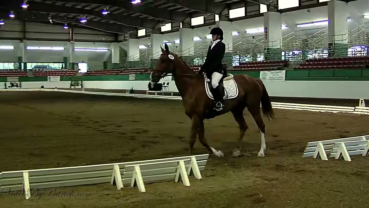 Stacie Johnson on Olivia, MFS TOC, CDI Raleigh Dressage, 6/4/2011