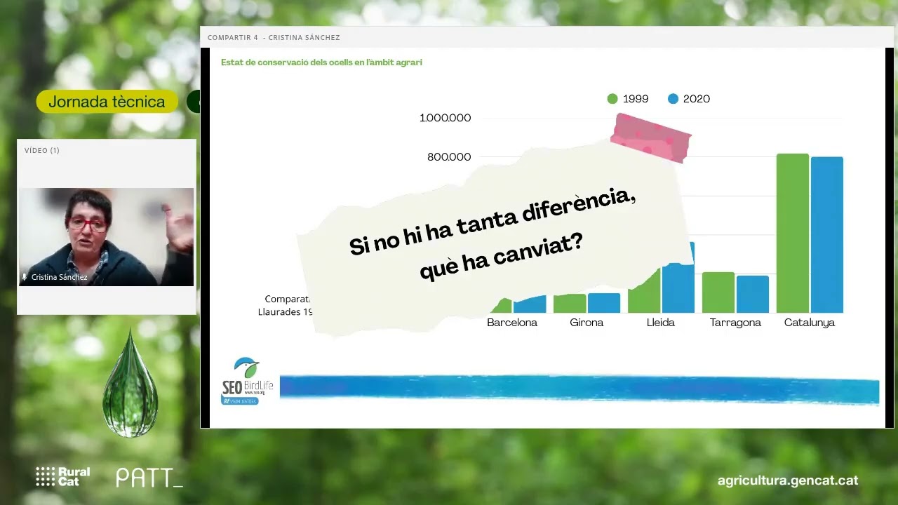El rol dels ocells en l’agricultura: potenciant els beneficis i reduint els danys
