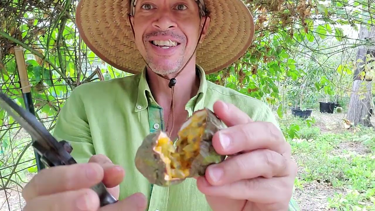 Possum Purple Passionfruit is Potent on the Palate