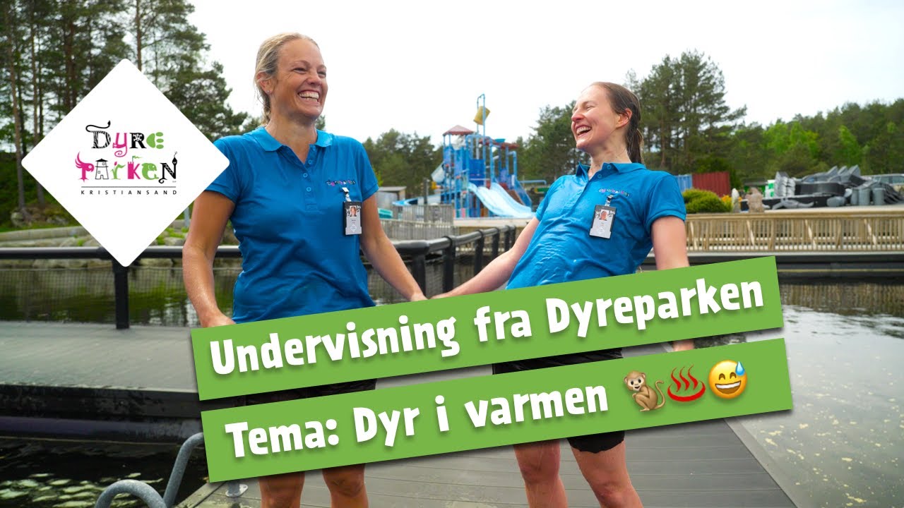 Undervisning fra Dyreparken: Dyr i varmen 🐒♨️😅