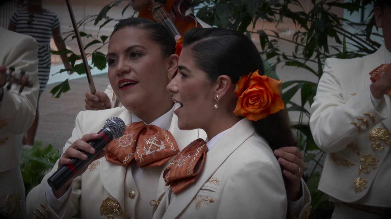 FLASHMOB MARIACHI SOY NAVAL, SOY HECHO EN MÉXICO