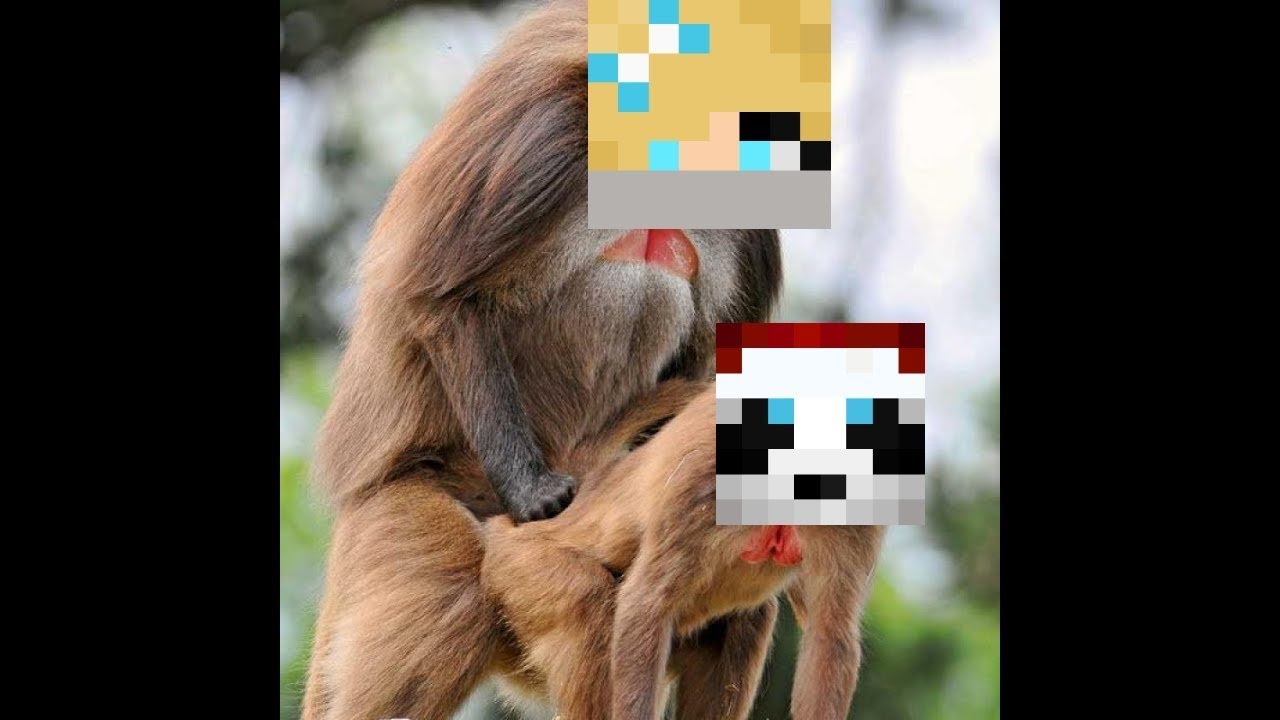 RAPE SERIES: Hasvik [hackusations] *Me banea*
