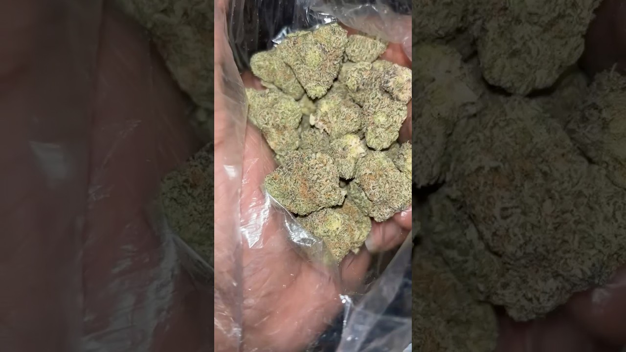 Runtz Strain Review: The Most Hype Cannabis Ever