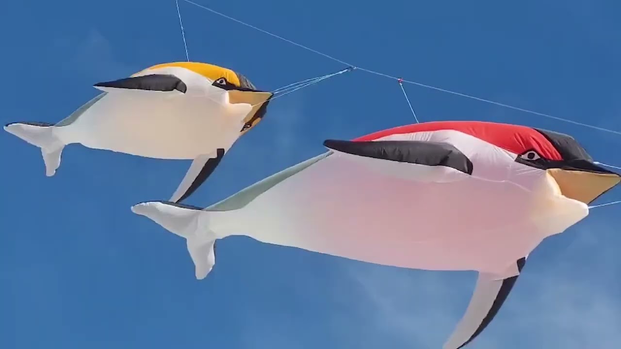 two days of flying 
