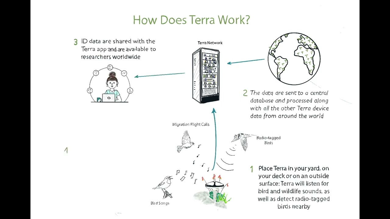 How Does Terra Work (Animation)