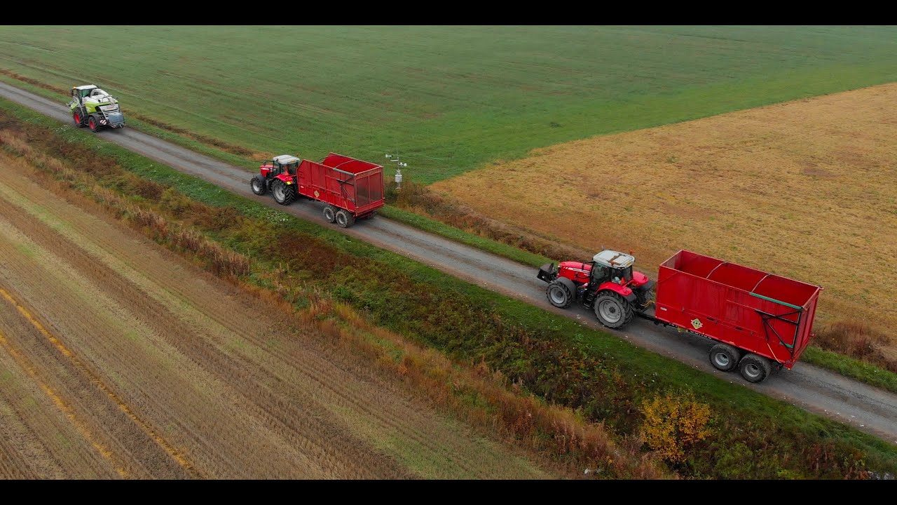Rehumaissin Korjuu || Corn Silage Harvest 2020