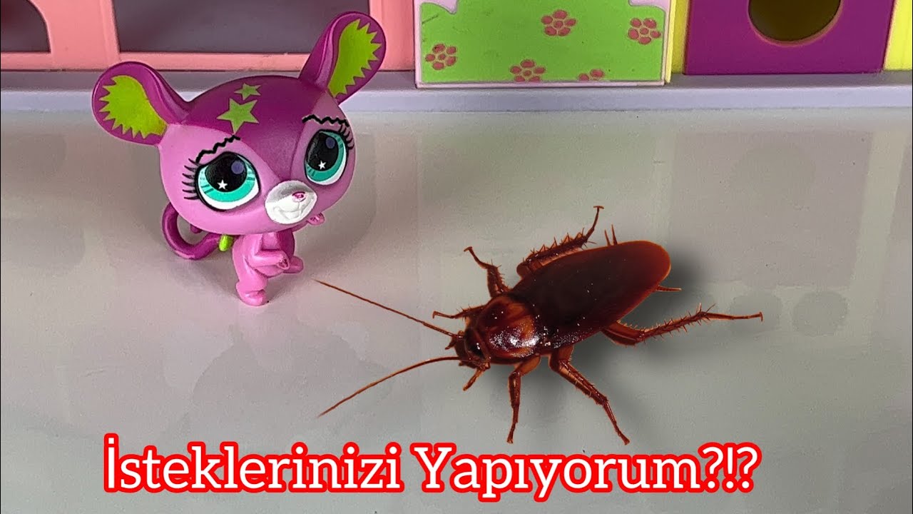 Minişler: İSTEKLERİNİZİ YAPIYORUM?!? (Hamam Böceği Şakası!)