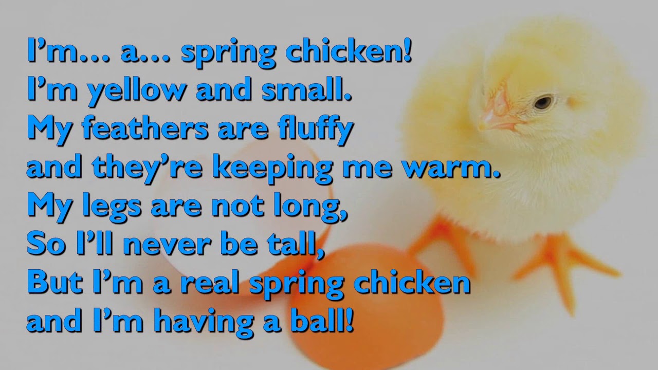 Spring Chicken Song  (One Mother Hen) [with lyrics for congregations]