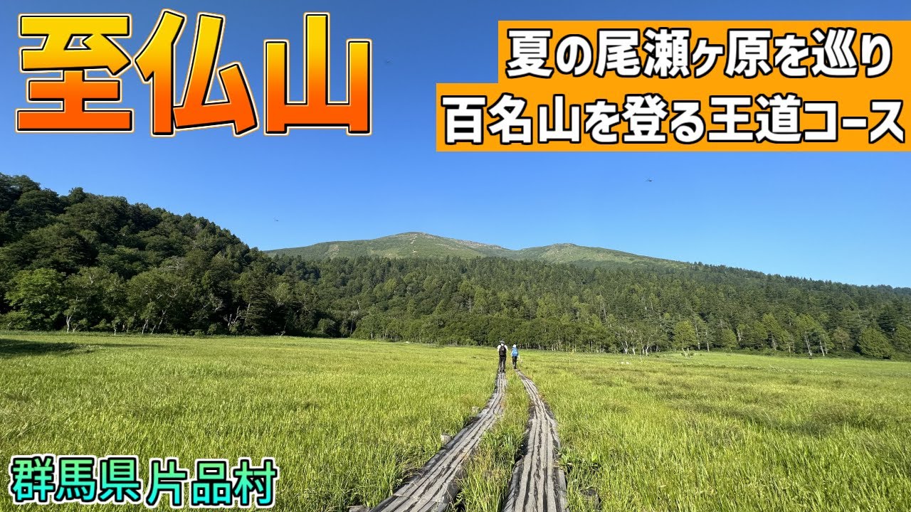 【至仏山】夏の尾瀬ヶ原と百名山を歩く！避暑にぴったりの王道ハイキングコース