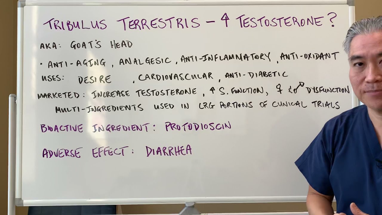Tribulus Terrestris-🐐🐐-Increase Testosterone?