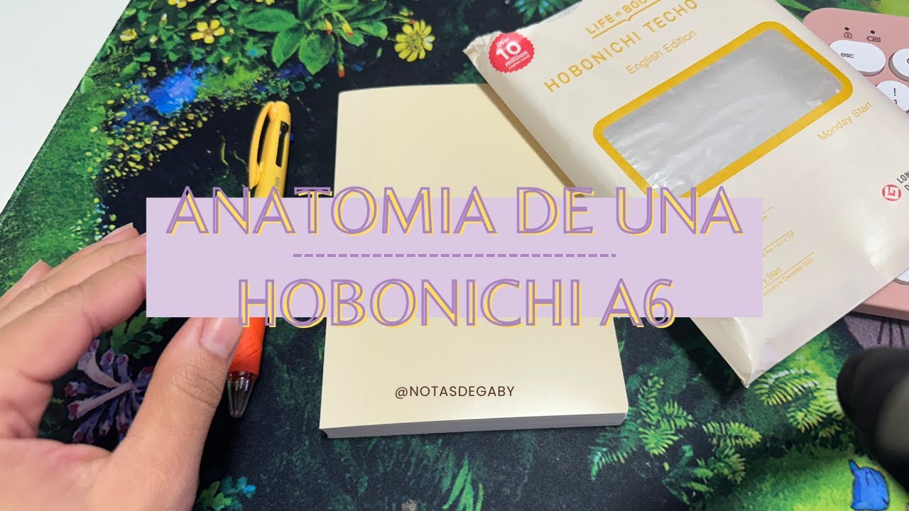 Anatomía de Una Hobonichi original a6