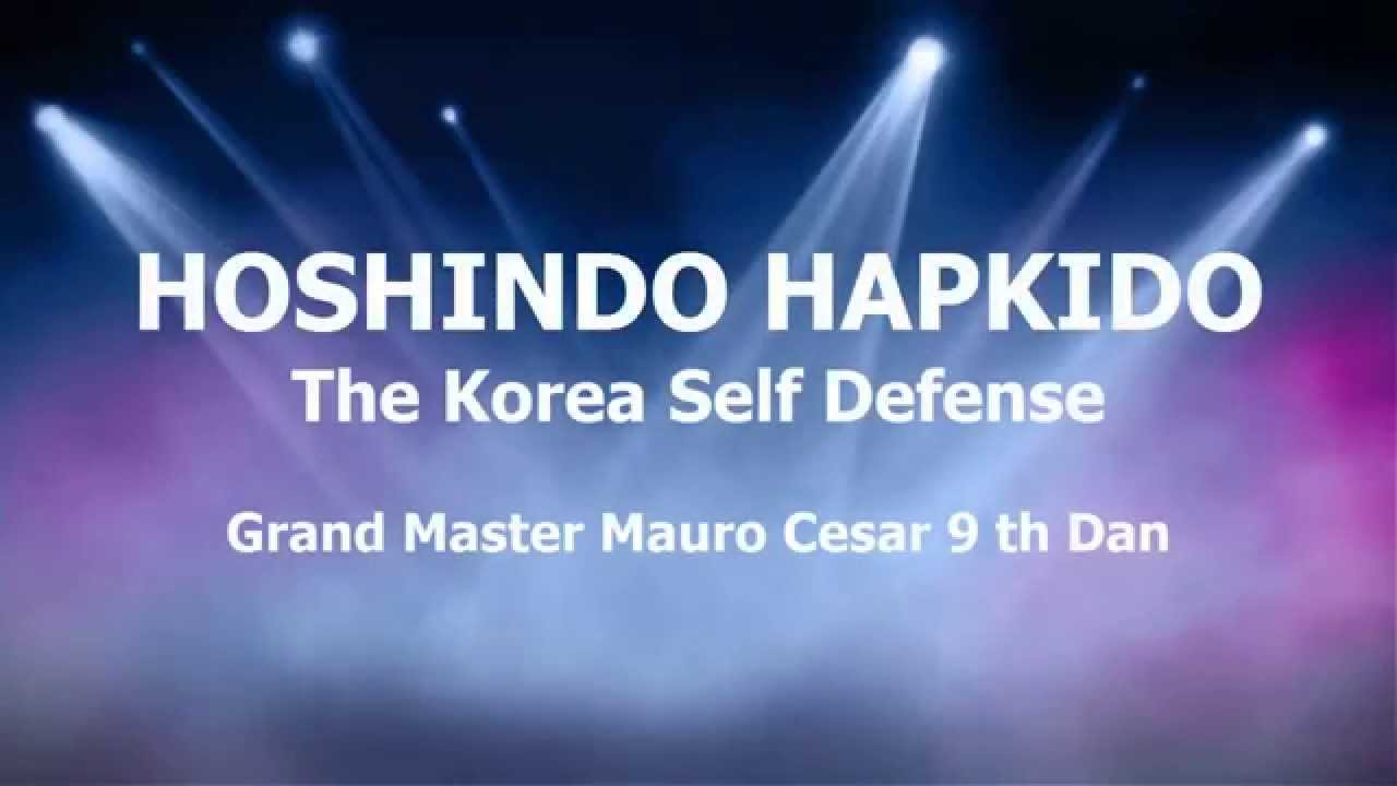 04 Hoshindo Hapkido