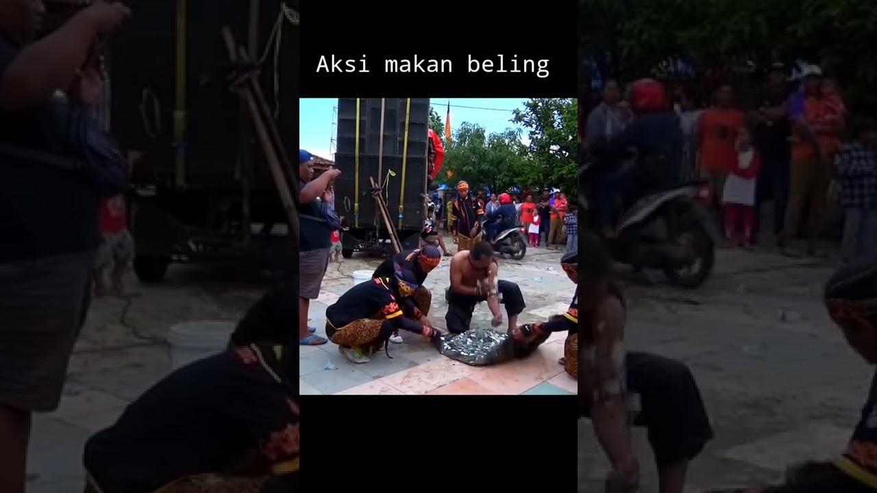 Adegan berbahaya !!!! Makan beling