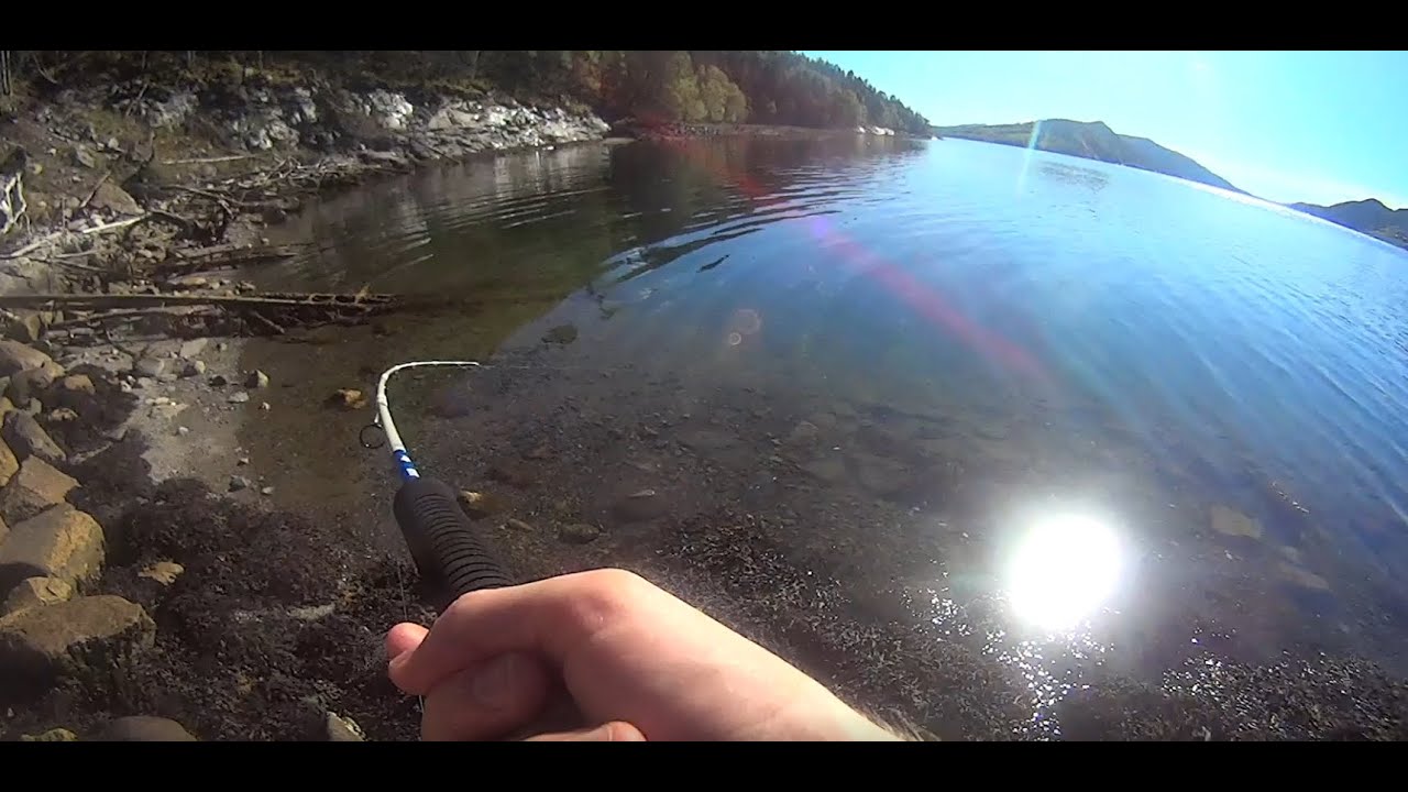 Savage Gear Sandeel test video