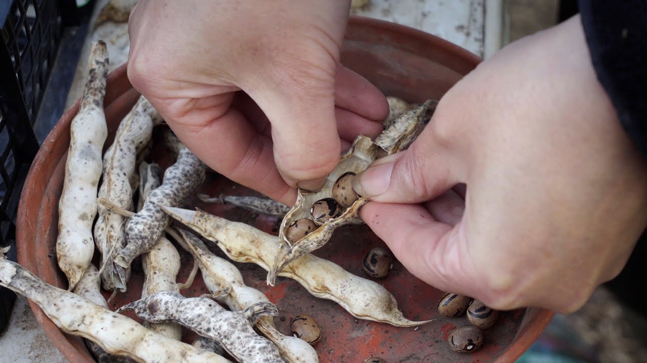 Rooted: Growing a Local Food Ecosystem [FULL FILM]