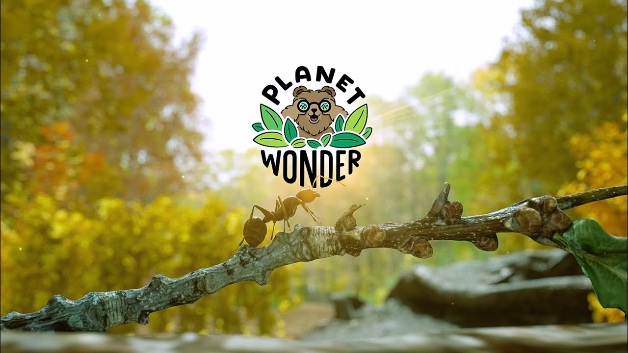 Planet Wonder (God's Greatest Inventions!) - The Tree Frog (ep1)