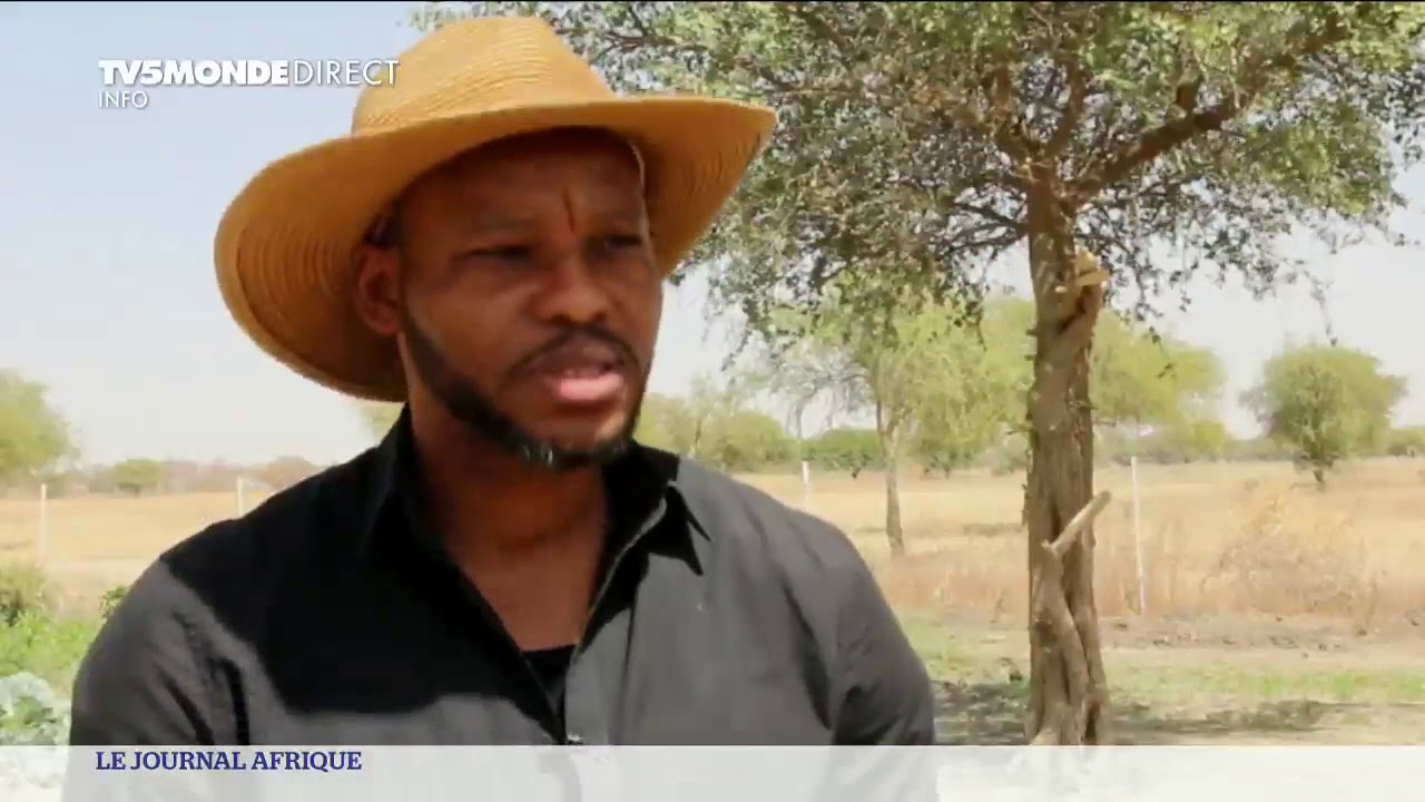 Tchad : les premiers produits bio sortent de terre à N'Djamena