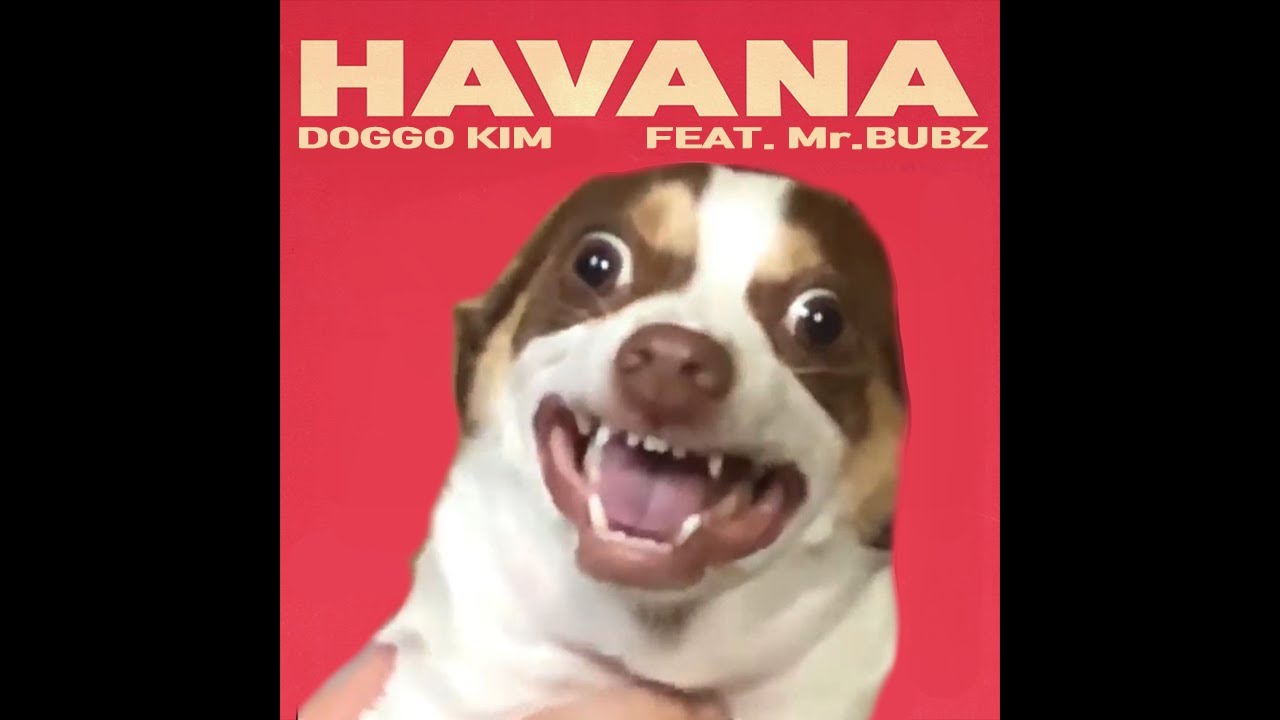 Mr.Bubz - Havana (하바나 강아지 리믹스)