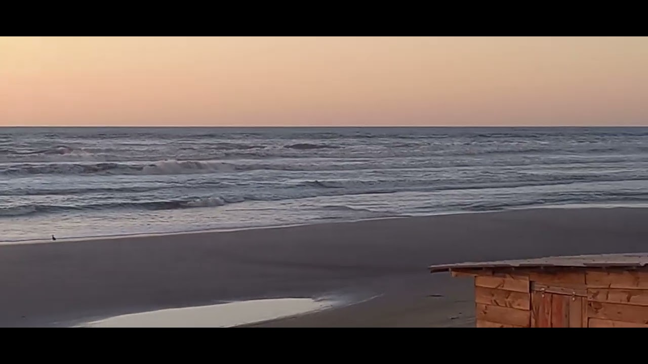 Boletim do mar número 1981 praia do quintao Rei do peixe RS valeu galera tamo junto. 