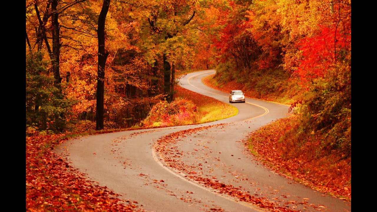 Exploring Canada's Fall Foliage: A Road Trip Adventure #fallguys