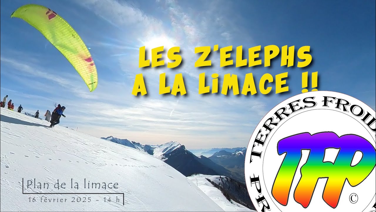 Plan de la limace TFP Février 2025