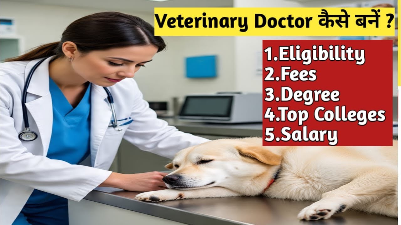 HOW TO BE A VETERINARY DOCTOR IN INDIA AFTER 12TH ;WITHOUT NEET;FEES;SALARY;VET KAISE BANE चलिए 