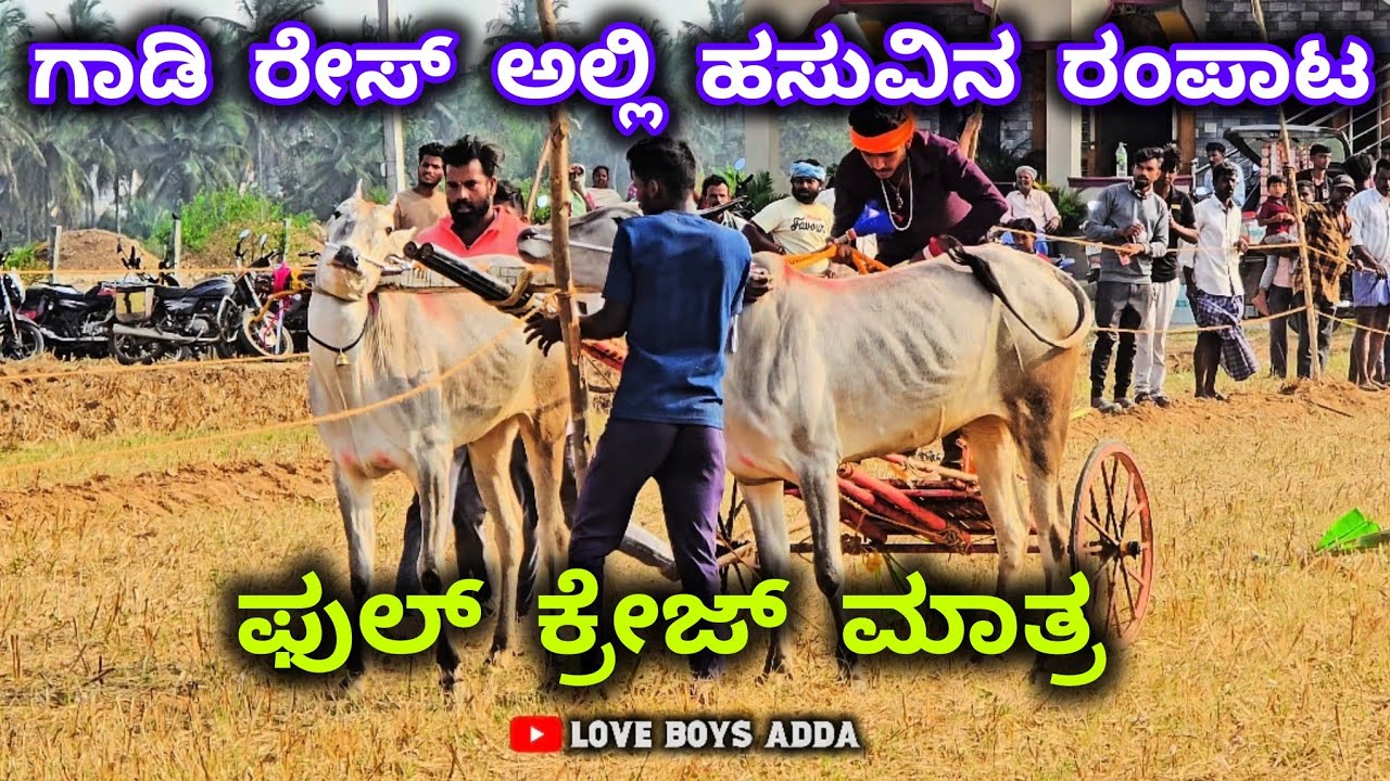 ಗಾಡಿ ರೇಸ್ ಅಲ್ಲಿ ಹಸುವಿನ ರಂಪಾಟ 😵| ರೇಸ್ ಮಾತ್ರ ಫುಲ್ ಕ್ರೇಜ್ 🥳